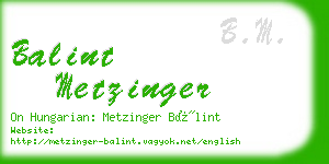 balint metzinger business card